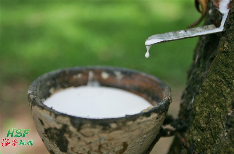 1701424589269030148.jpg 1701424589269030148.jpg